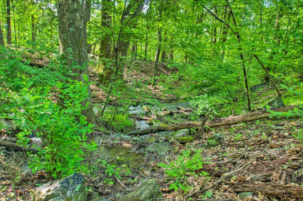 Renovated Studio On 5 Acres - Near Vineyards! Crozet Exterior foto